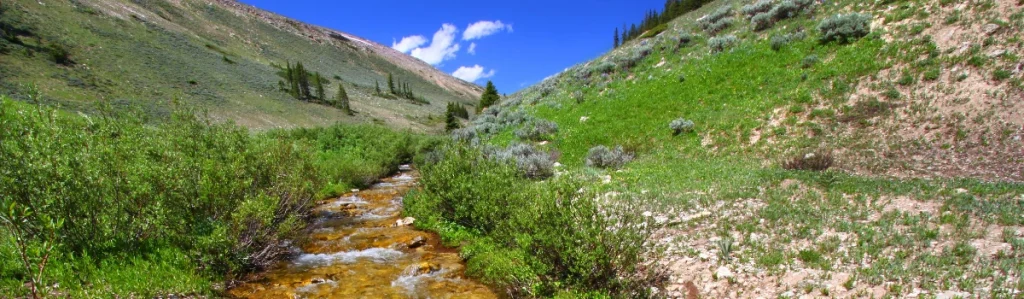 a photo of a mountain creek in Bighorn National Forest, WY